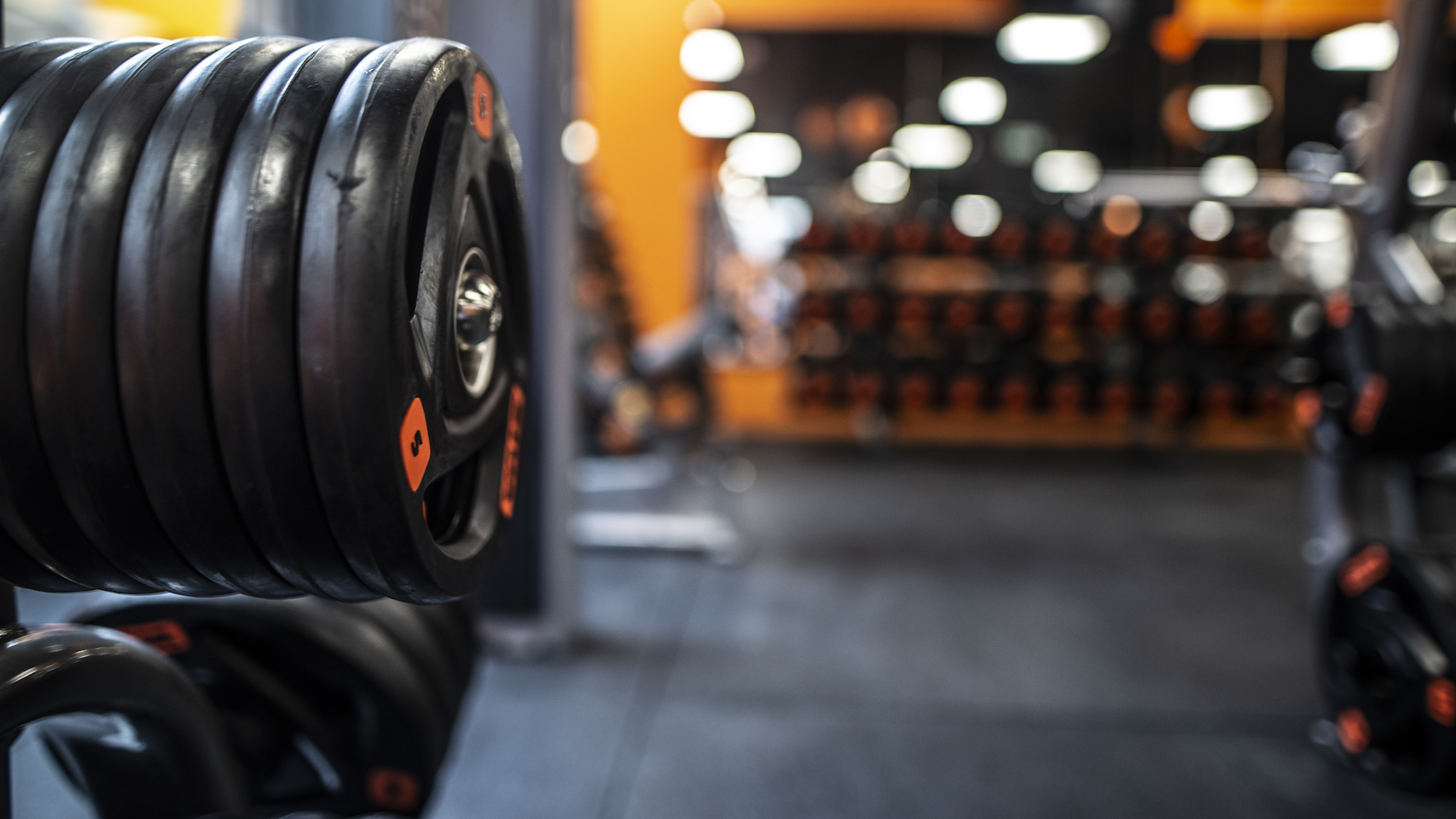 FitActive Vigevano